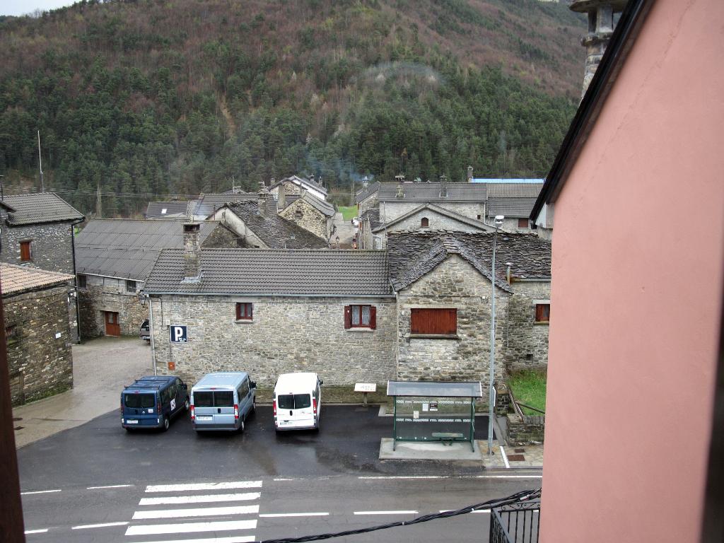 L'Ultimo Bucardo